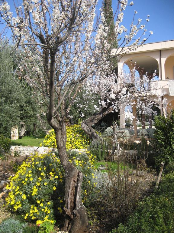 Masseria Due Torri Monopoli Δωμάτιο φωτογραφία
