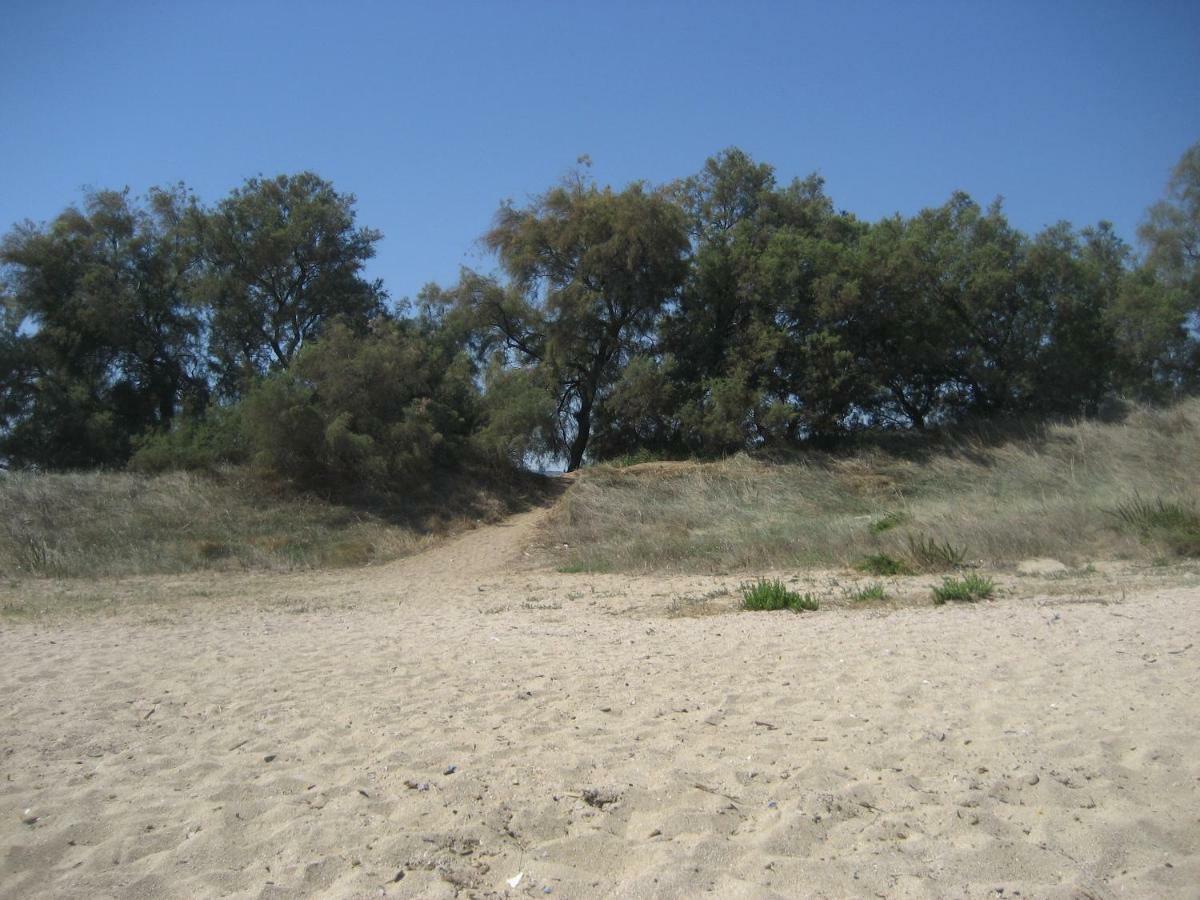Masseria Due Torri Monopoli Δωμάτιο φωτογραφία