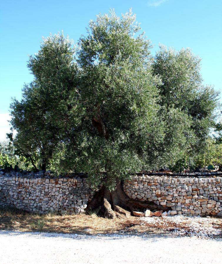 Masseria Due Torri Monopoli Εξωτερικό φωτογραφία