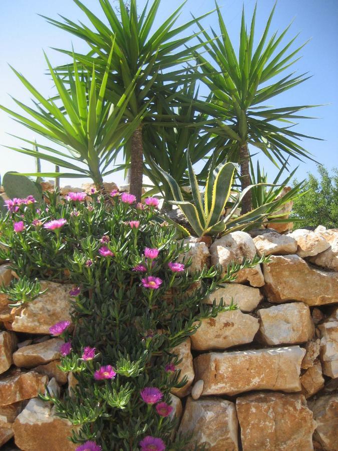 Masseria Due Torri Monopoli Εξωτερικό φωτογραφία
